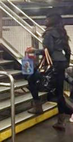 美国女子地铁上打骂幼童 砸伤无辜目击者