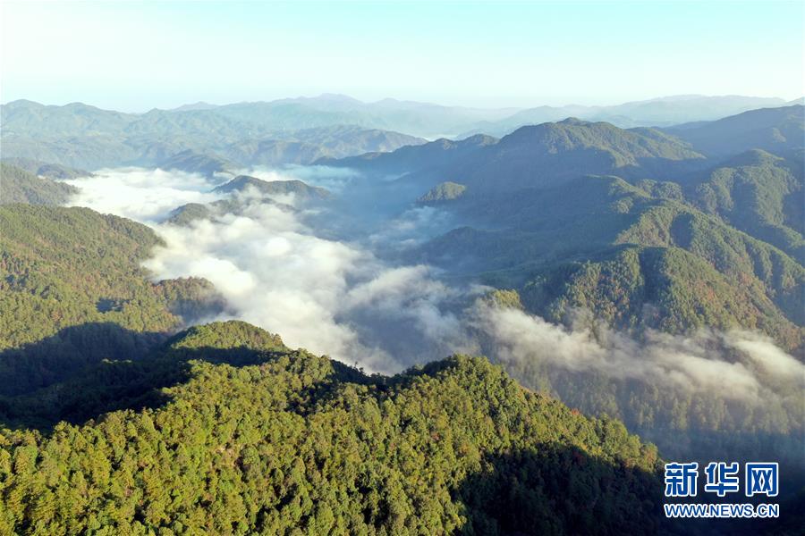 梅花山：閩西綠色翡翠