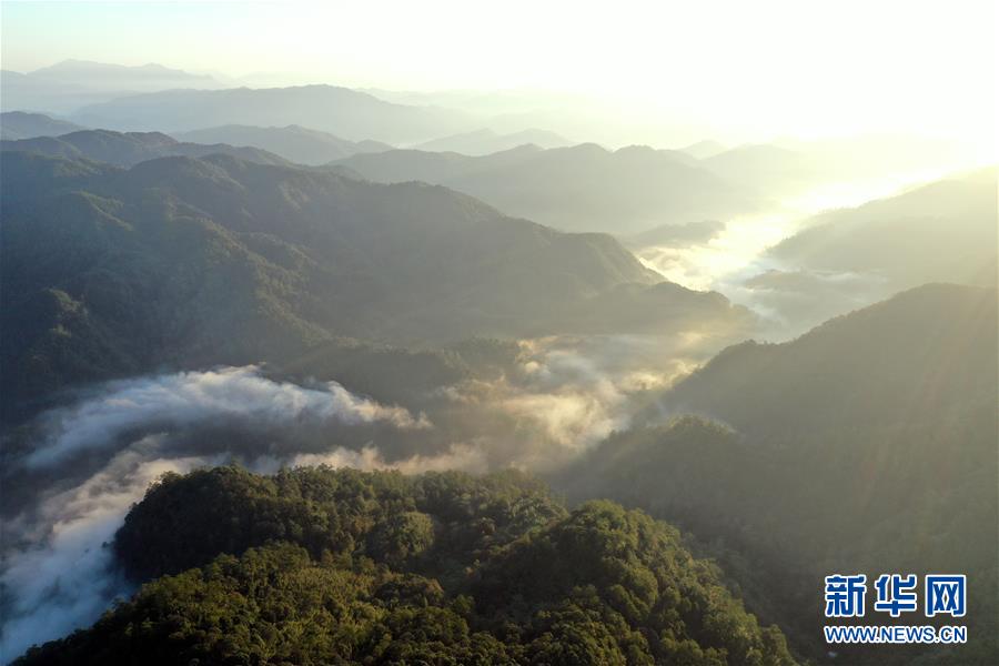 梅花山：閩西綠色翡翠