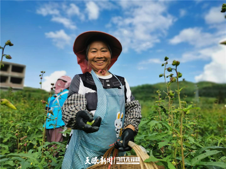 【千年之變·新時代的貴州人】産業有活力 種地有“錢”景｜新型農業“産業工人”幸福穩穩的