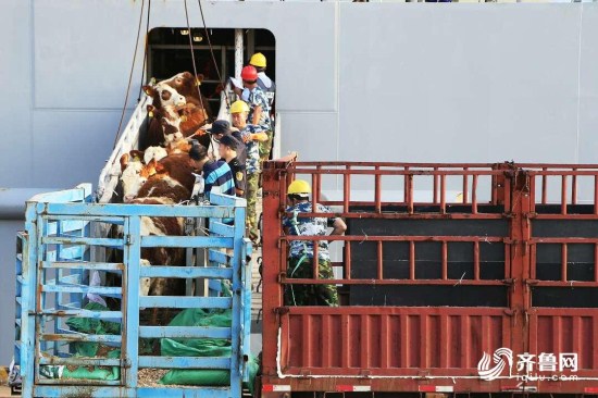 图片默认标题_fororder_16b41a03ed1f040e9943a13256e859e9_iqilu_副本