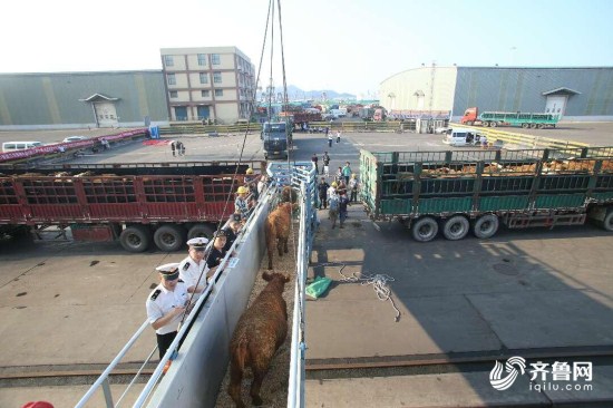 图片默认标题_fororder_fd13fff048dc316692b8fa8630733cb8_iqilu_副本