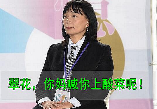 民进党真疯了 蔡当局“促转会”为彻底“去蒋”要搞个大动作