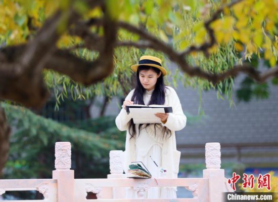 11月5日　木曜日