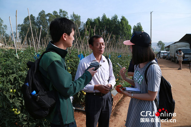 中国国际广播电台记者团赴楚雄市元谋县采访