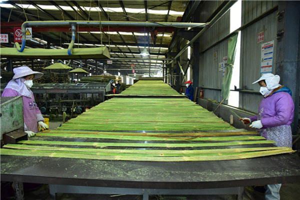 目前,洪雅县已成功构建以竹钢产品,竹笋食品,竹林旅游为三大支撑