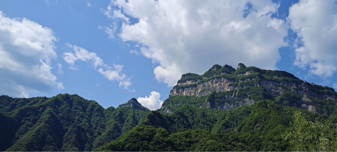 汉中市新闻工作者走山入村开展“走转改”主题采访活动