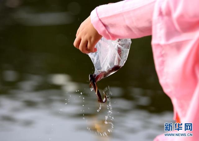 缅甸喜迎缅历新年 缅甸喜迎缅历新年