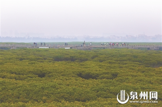 【图说福建第七张】【泉州】【移动版】【Chinanews带图】泉州：一城晴雨四处景