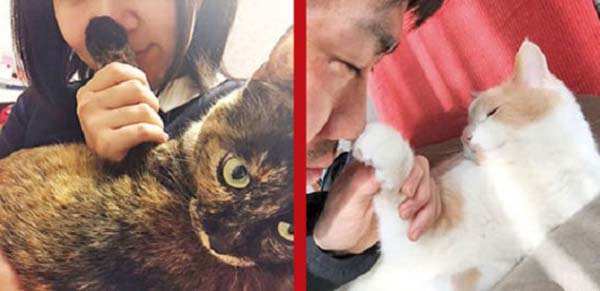 日本推出猫爪味护手霜 独特香气引人遐想