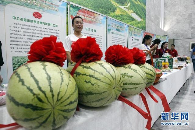 首届中国（宁夏）特色优质农产品品牌评选推介活动举办