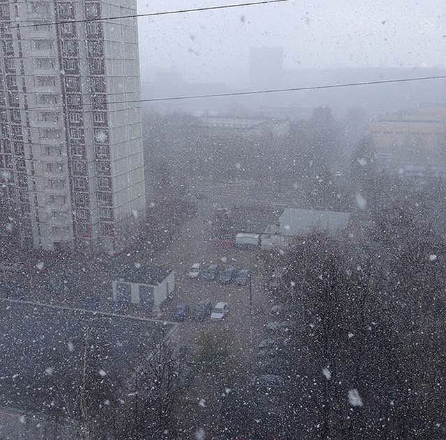 莫斯科4月吹起暴風雪 網友：全球變暖繞道了