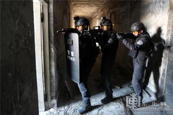 黑龍江省偵辦313起黑惡案件 群眾舉報佔三成