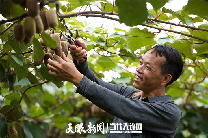 农村居民人均可支配收入位列贵州省第一方阵——遵义农业高质量发展观察