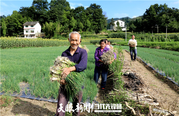 农村居民人均可支配收入位列贵州省第一方阵——遵义农业高质量发展观察