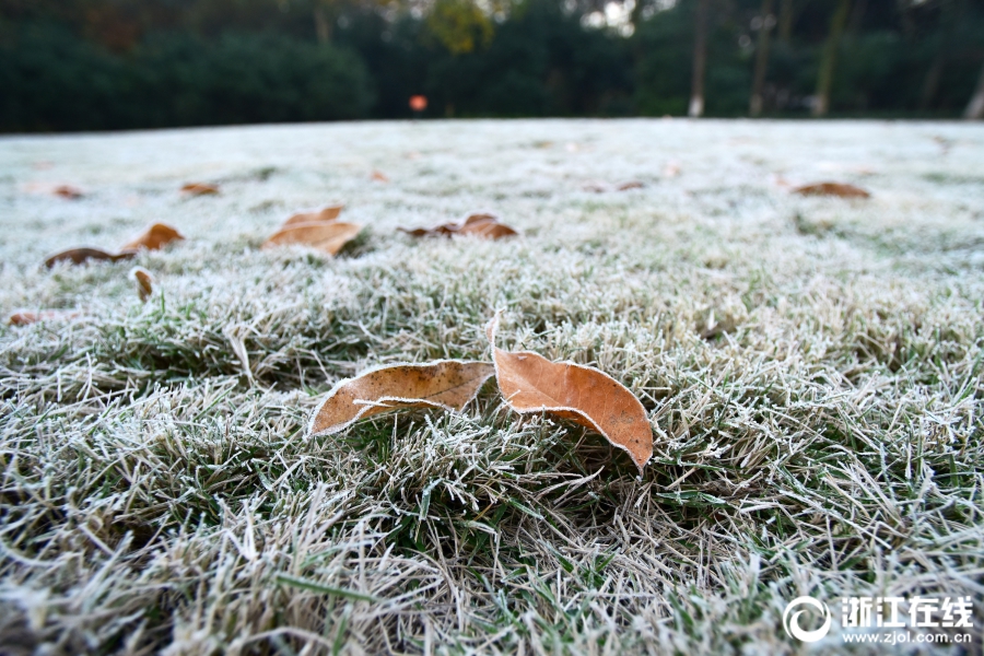杭州：西湖初霜