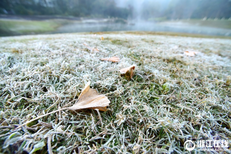 杭州：西湖初霜