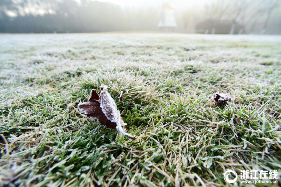 杭州：西湖初霜