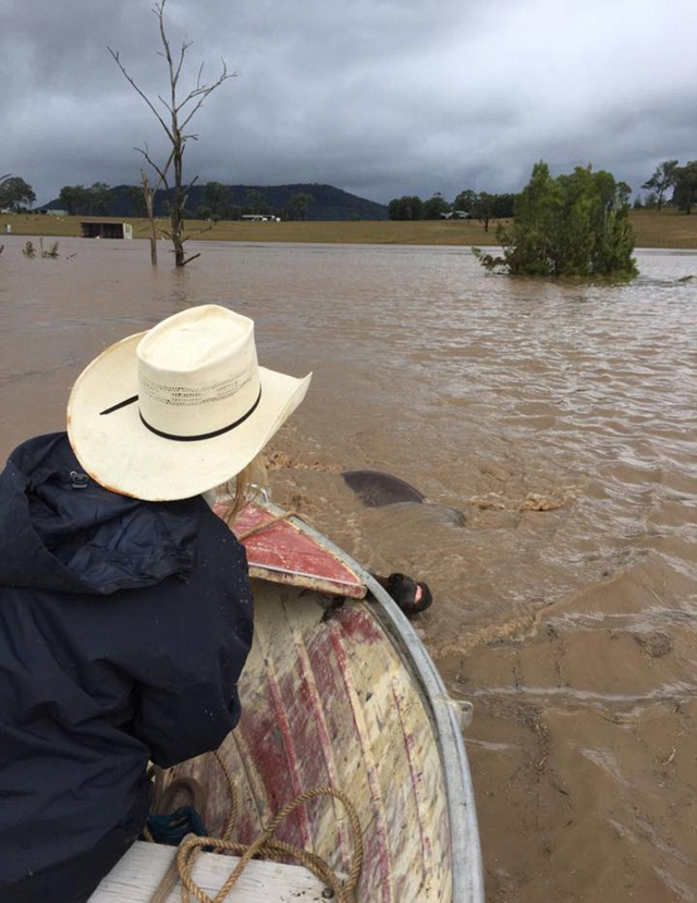 强风暴袭击澳大利亚 居民在洪水中划船冲浪