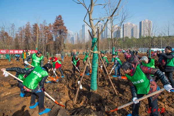 武漢開展今冬首場義務植樹 可獲碳匯價值兌換園博園門票