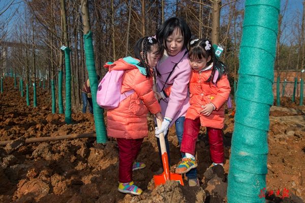 武汉开展今冬首场义务植树 可获碳汇价值兑换园博园门票