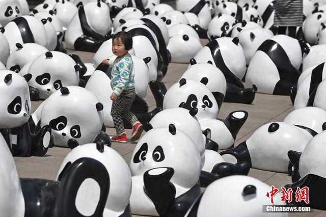 300只卡通熊猫亮相山西太原