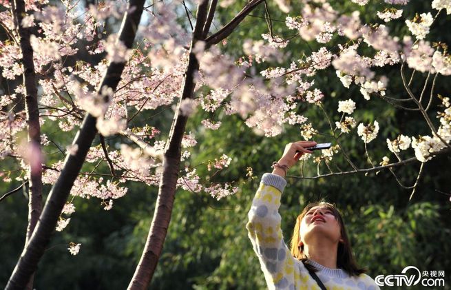 图片默认标题_fororder_1