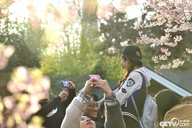 图片默认标题_fororder_3