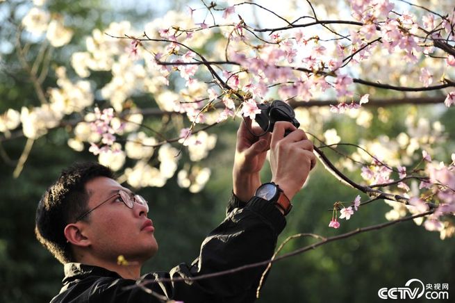 图片默认标题_fororder_2