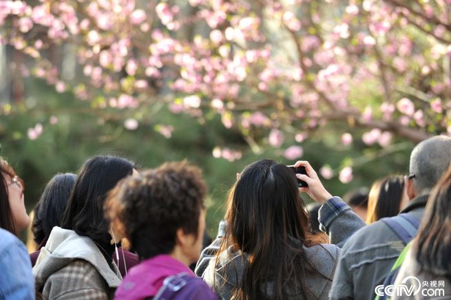 图片默认标题_fororder_9