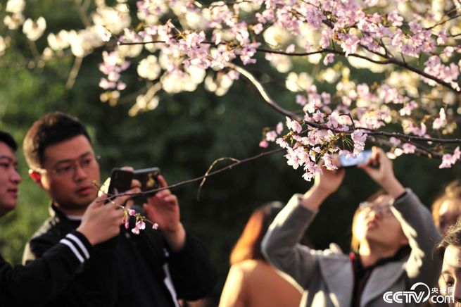 图片默认标题_fororder_6