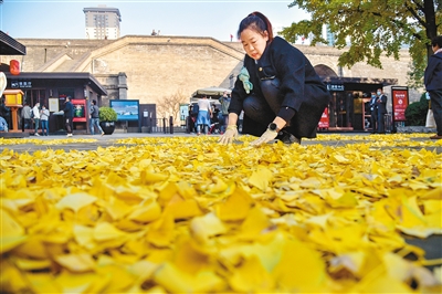 西安：巧摆落叶秀出爱