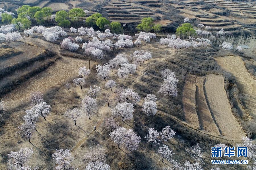 河北内丘：春分时节享春光