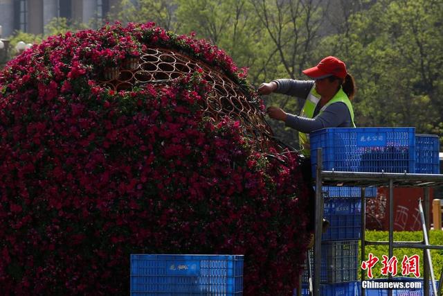 北京天安门广场开始布置花坛迎“五一”