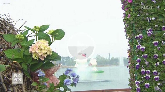 韩国花卉博览会开幕 一亿朵鲜花绚丽绽放