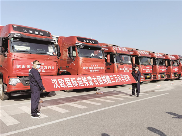 蒙古国捐赠羊来湖北