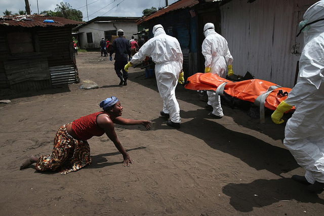 2015索尼世界攝影大賽獲獎作品出爐 2015索尼世界攝影大賽獲獎作品出爐