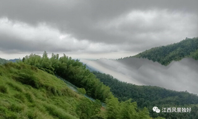 朱虹：宜豐——禪風竹韻 康養福地