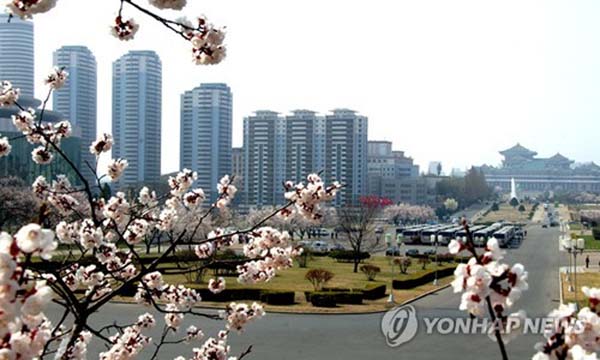 4月朝鲜春意正盛 市民赏花游园兴致浓