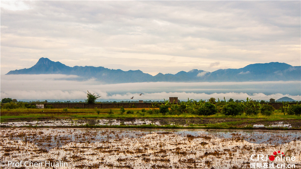 图片默认标题_fororder_【摄影作品】水墨丹青晨雨后-陈华林