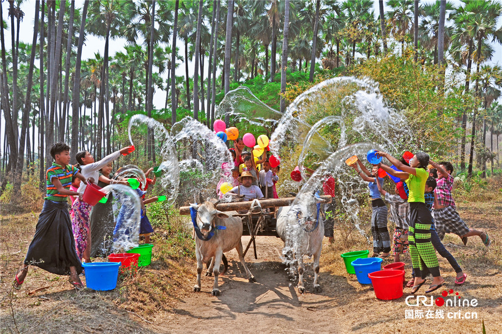 图片默认标题_fororder_00316-Aung Kyaw Htun 缅甸 欢度缅甸泼水节 水印