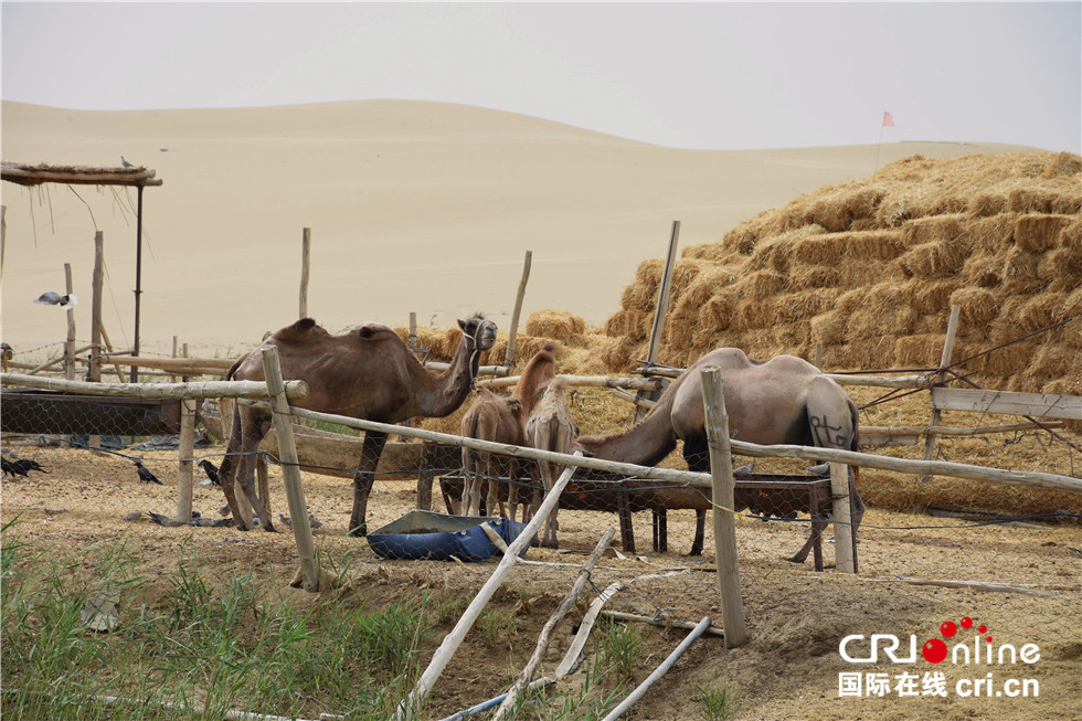 图片默认标题_fororder_DSC_3801