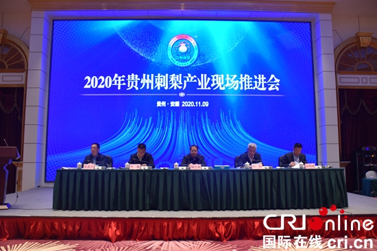 2020年贵州刺梨产业现场推进会在安顺举行