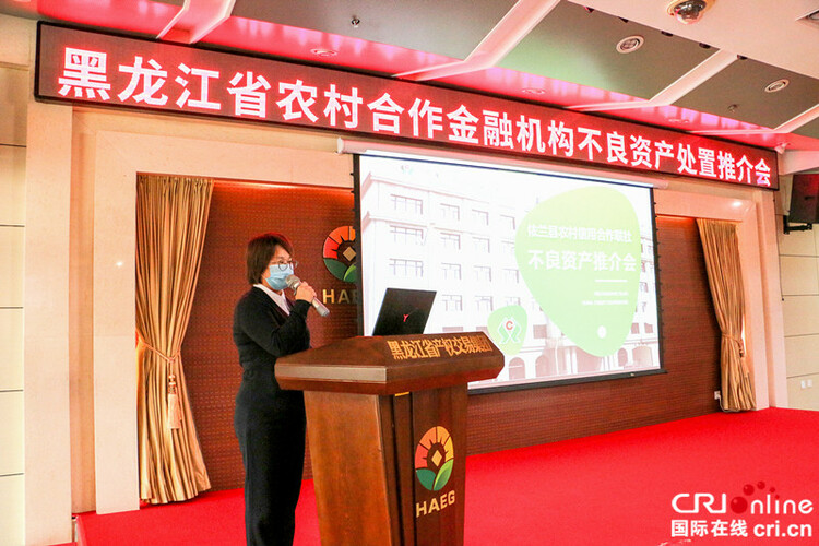 黑龙江省农信社举办资产处置推介会 全力推动改制化险高质量发展目标