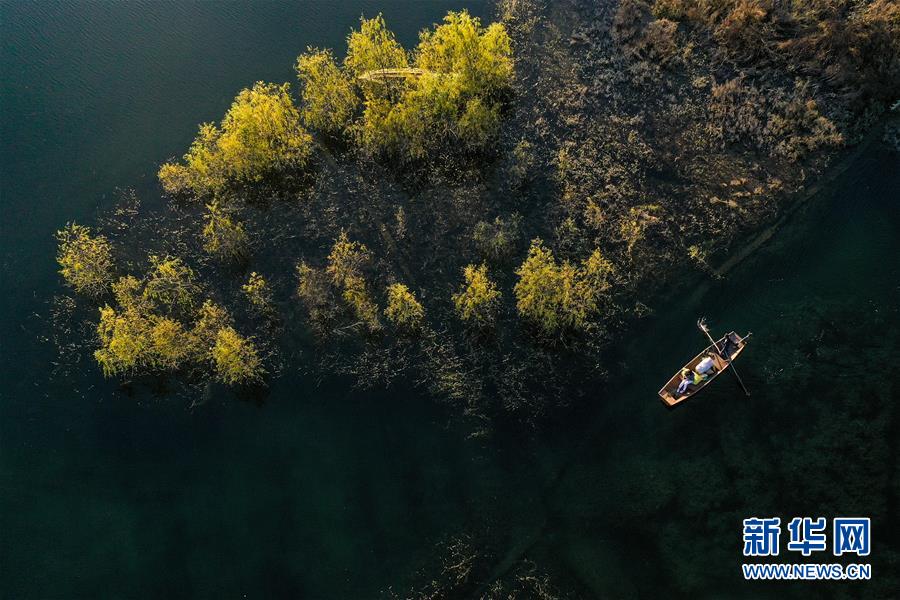 Pemandangan Alam Danau Adong Pada Musim Gugur