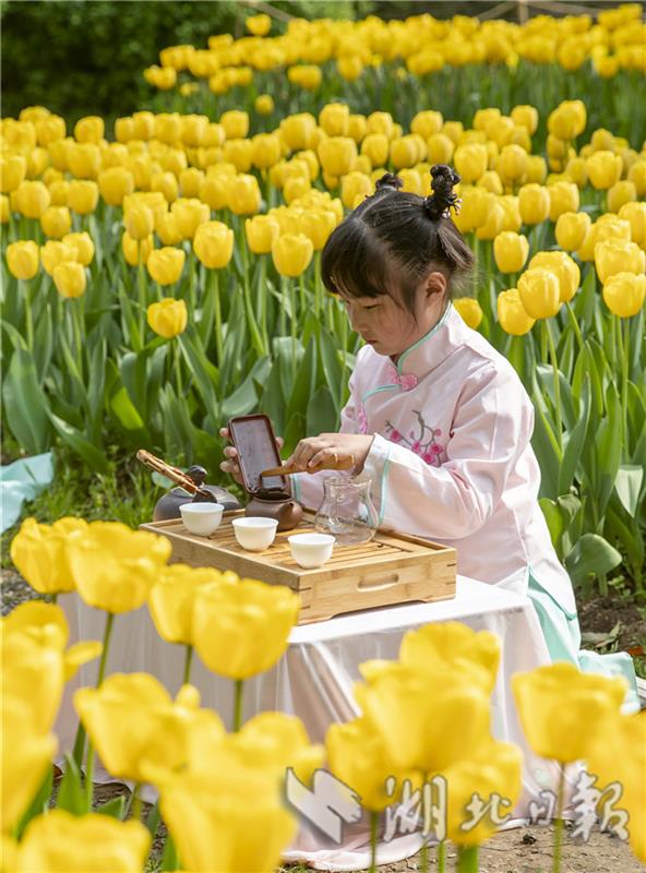 武漢植物園迎來全年最美賞花季