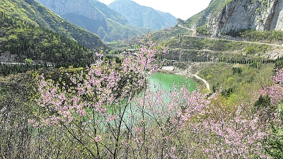 【旅遊資訊-圖片】來河南約一場“花漾春天”