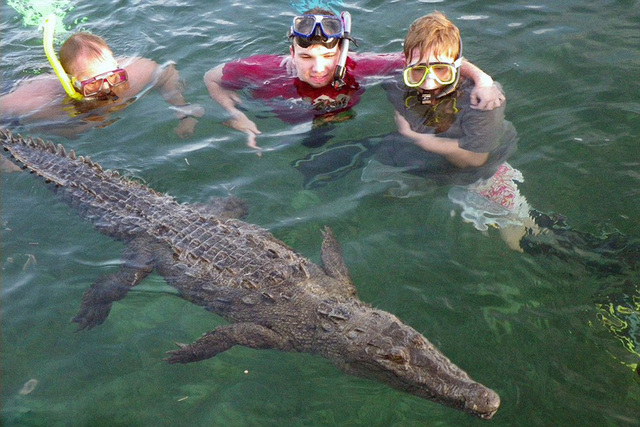 澳大利亚父子与鳄鱼同游 度最刺激假期