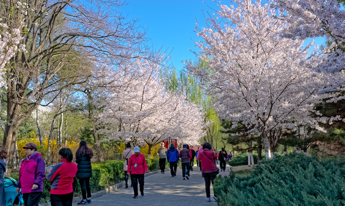 图片默认标题_fororder_玉渊潭