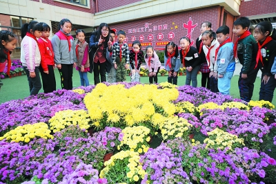 南京小學舉辦校園菊花展